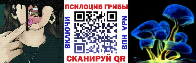 Галлюциногенные грибы MAGIC MUSHROOMS закладка Межгорье